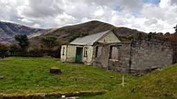 coom_10000270.jpg