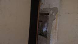 coom_10000290.jpg