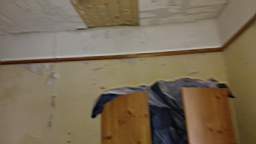 coom_10000340.jpg