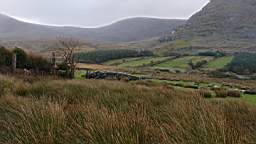 coom_10000380.jpg