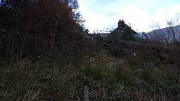 coom_10000420.jpg
