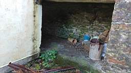 coom_10000430.jpg