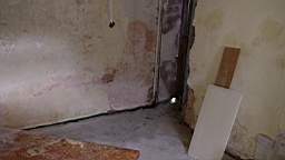 coom_10000480.jpg