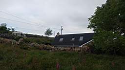coom_10000690.jpg