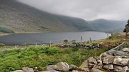 coom_10000730.jpg