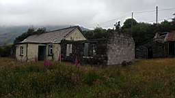 coom_10000750.jpg
