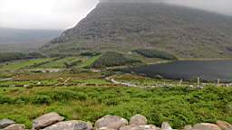 coom_10000780.jpg