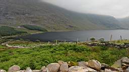 coom_10000790.jpg