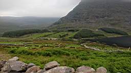 coom_10000810.jpg