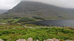 coom_10000830.jpg