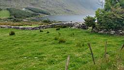 coom_10000860.jpg