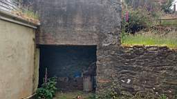 coom_10000990.jpg