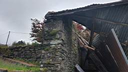 coom_10001010.jpg
