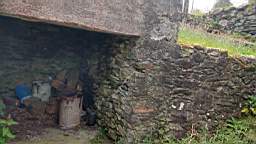 coom_10001030.jpg