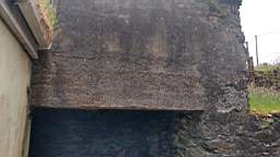coom_10001040.jpg