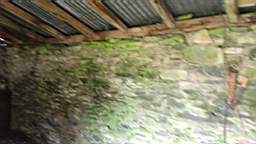 coom_10001070.jpg