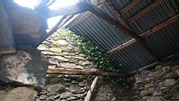 coom_10001190.jpg