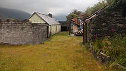 coom_10001240.jpg