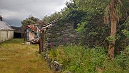coom_10001250.jpg