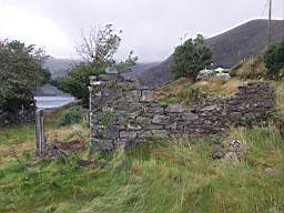coom_10001280.jpg