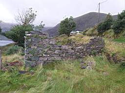 coom_10001340.jpg