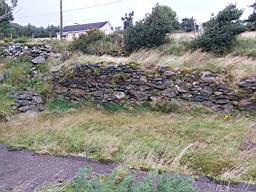coom_10001370.jpg