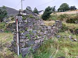 coom_10001380.jpg