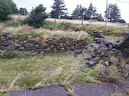 coom_10001390.jpg