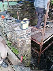coom_10001810.jpg