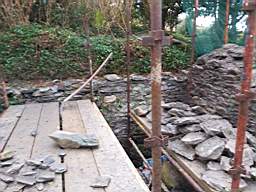 coom_10002190.jpg