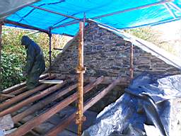 coom_10002490.jpg