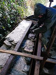 coom_10002690.jpg