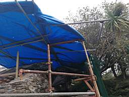 coom_10002790.jpg