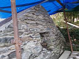 coom_10002880.jpg
