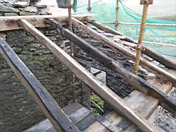 coom_10003010.jpg
