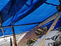 coom_10003080.jpg
