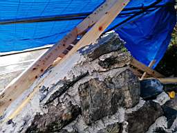coom_10003100.jpg