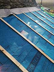 coom_10003450.jpg