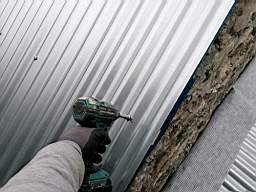 coom_10003510.jpg