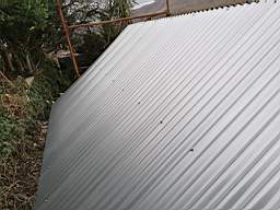 coom_10003520.jpg