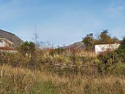 coom_10003630.jpg