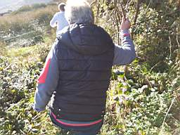 coom_10003750.jpg
