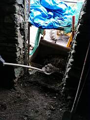 coom_10003970.jpg