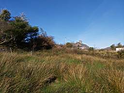 coom_10004240.jpg