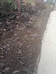 coom_10004270.jpg