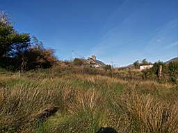 coom_10004300.jpg