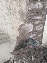 coom_10004430.jpg
