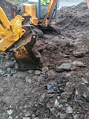 coom_10004600.jpg