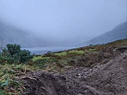coom_10004880.jpg