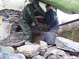 coom_10004920.jpg